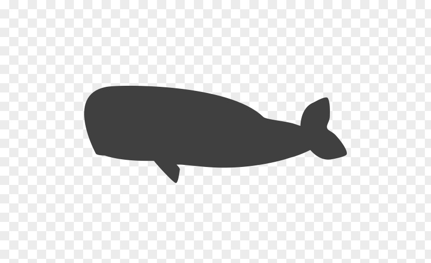 Block Puzzle Whale Endangered SpeciesWhale Word Spark Hexa PNG