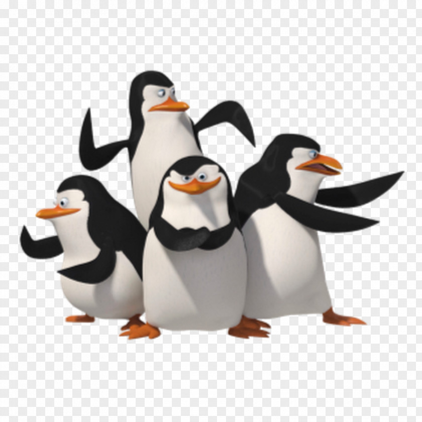 Madagascar Penguins Penguin Skipper Clip Art PNG