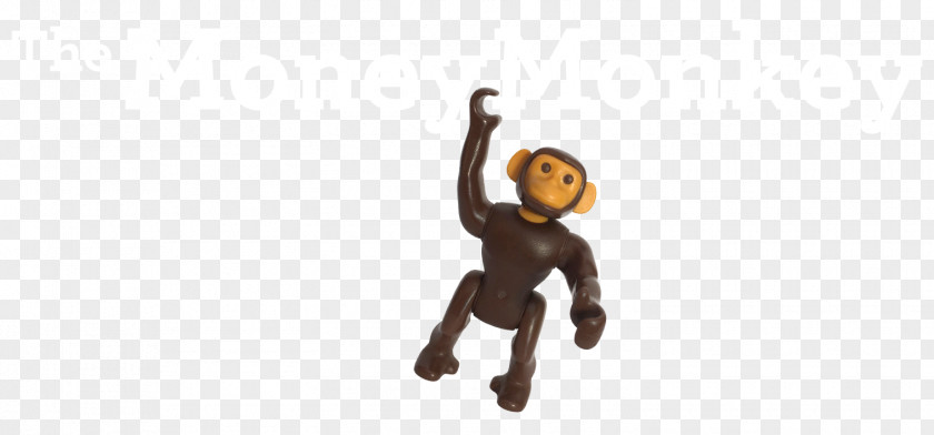Monkey Homo Sapiens Finger PNG