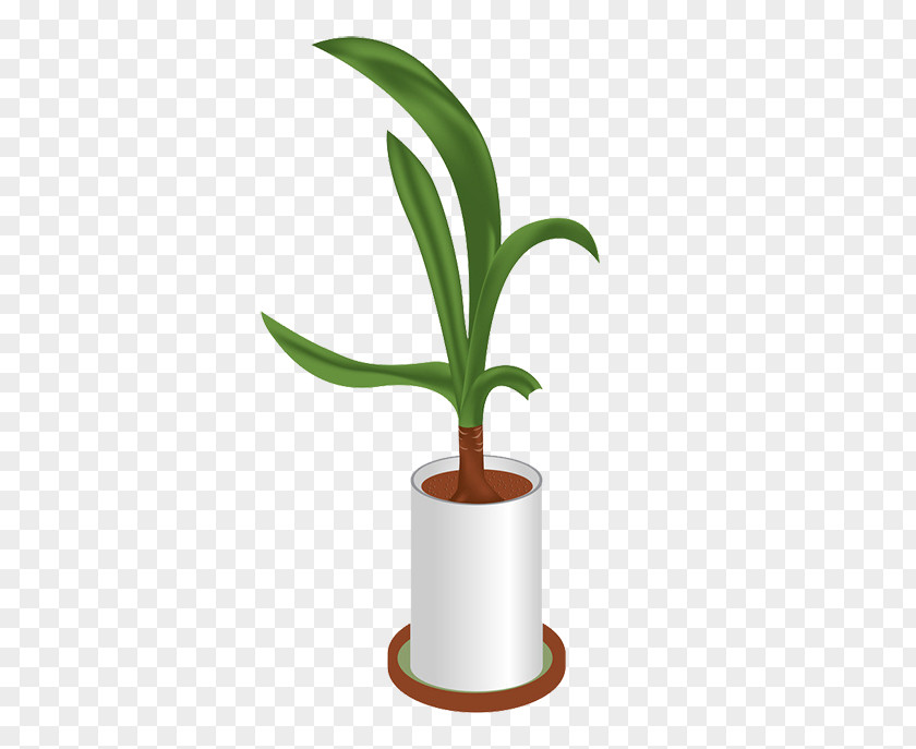 Plant Garlic Download Flowerpot PNG