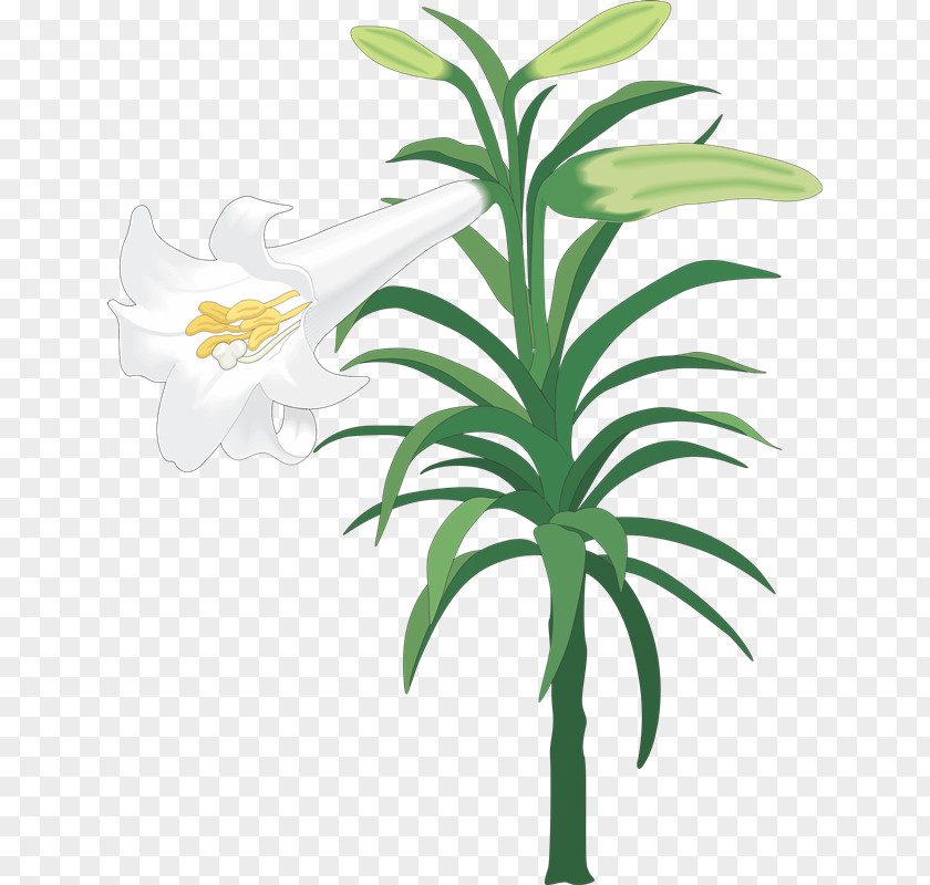 Easter Lily Clip Art Illustration Image Vector Graphics PNG