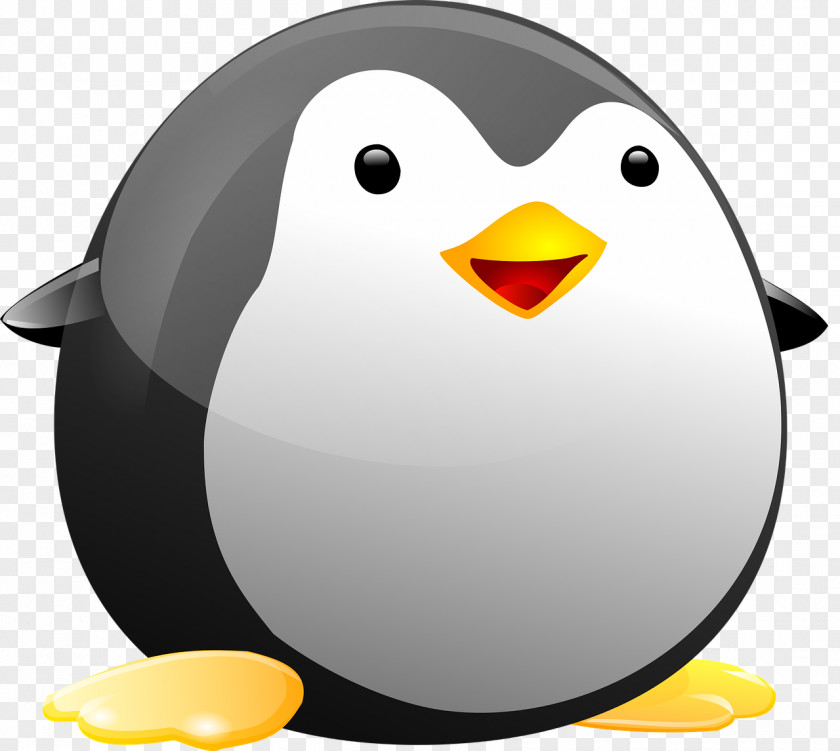 Penguins Penguin Bird Clip Art PNG