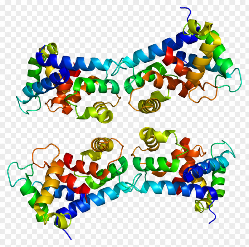 Protein S S100A9 Calgranulin S100 Serpin PNG
