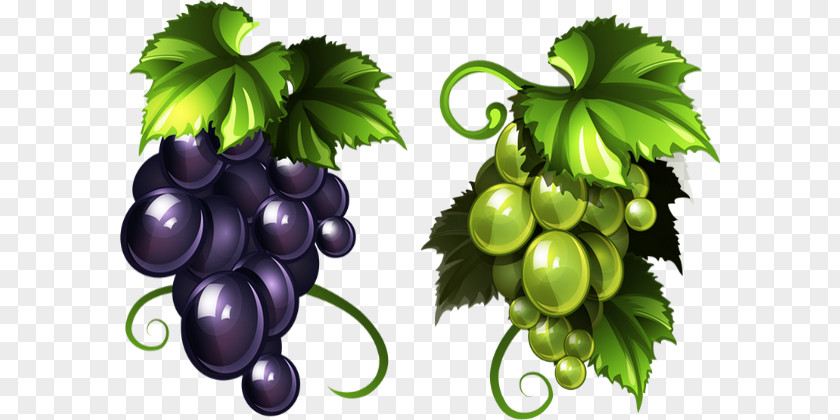 Raisin Common Grape Vine Red Wine PNG