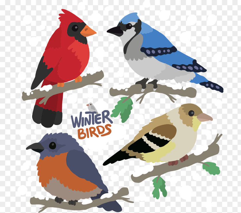 Birds On Branches Under Snow Bird Feather Winter PNG