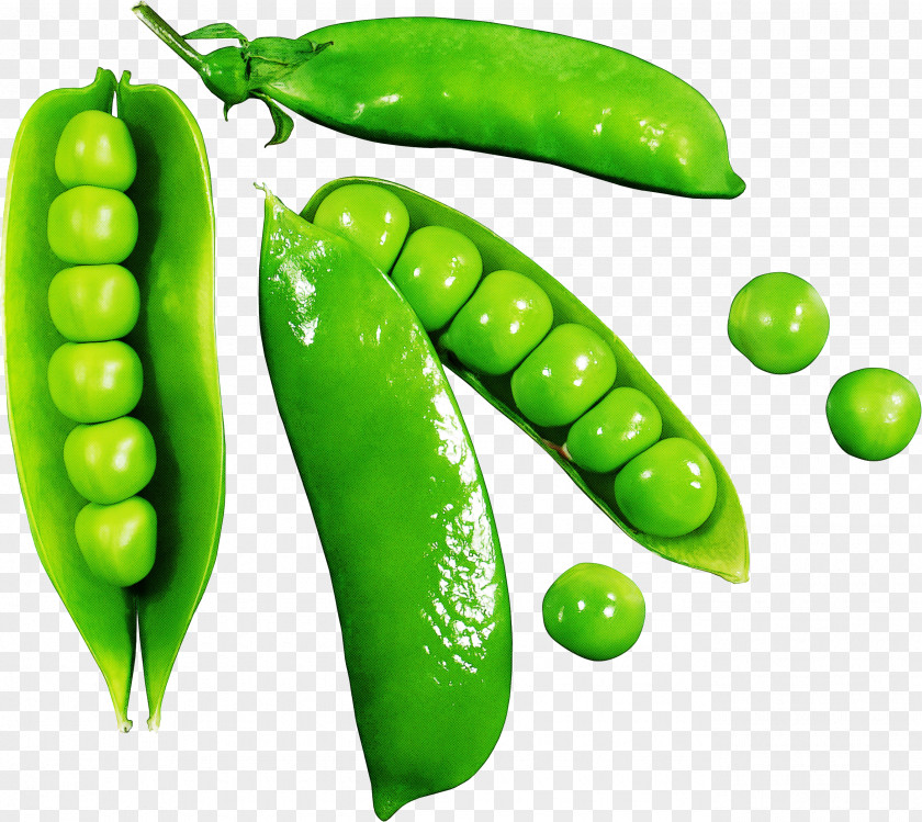 Legume Pea Natural Foods Green Plant PNG