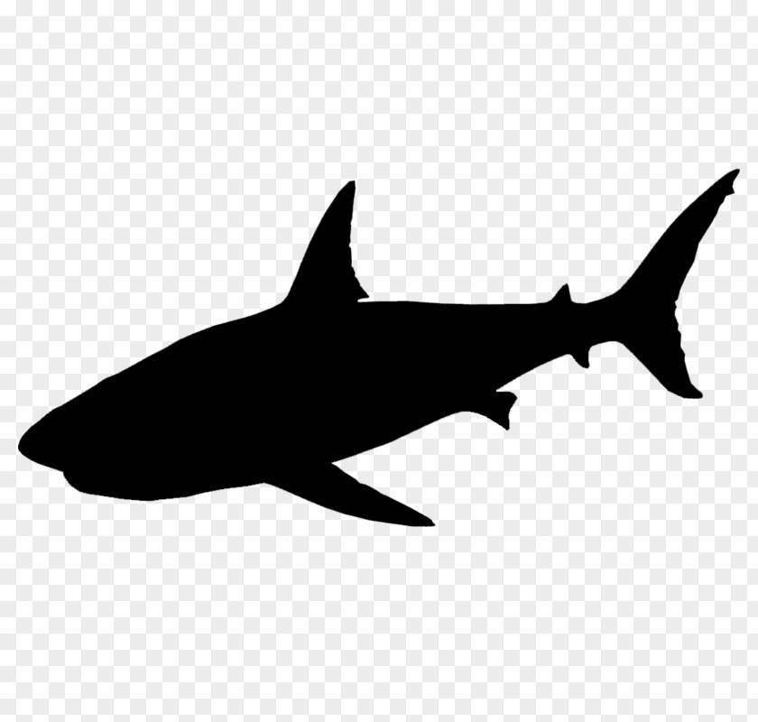 Requiem Sharks Clip Art Fauna Silhouette PNG
