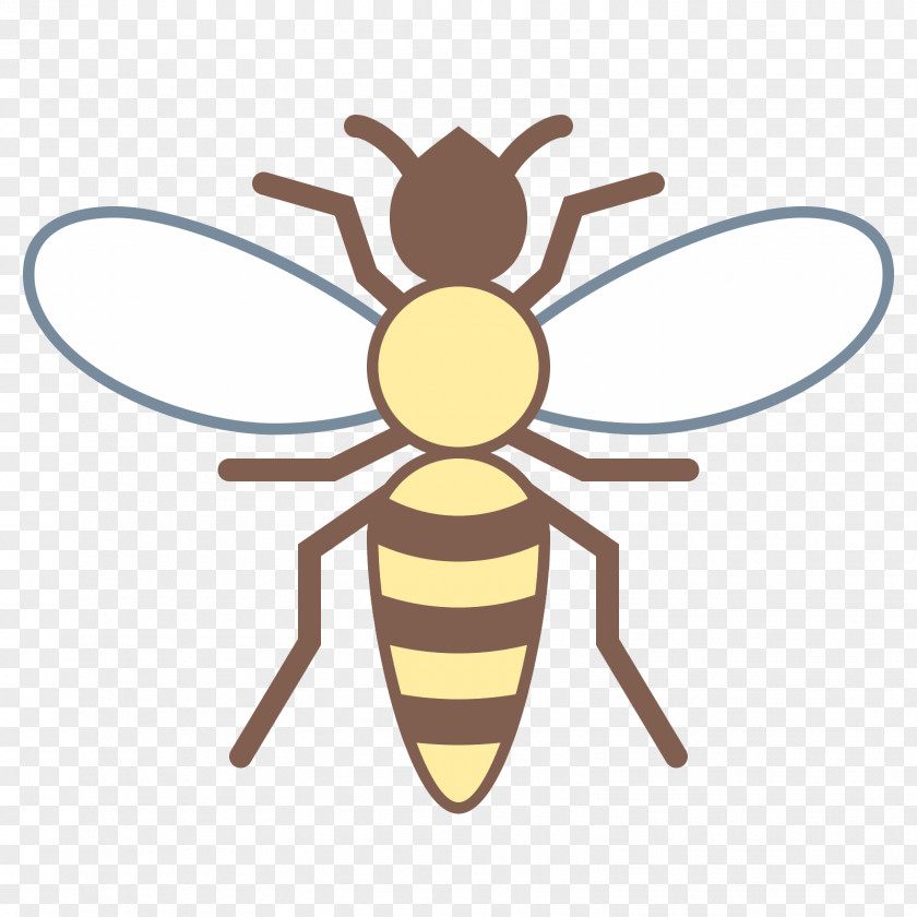 Wasp Insect Honey Bee Pollinator Animal PNG
