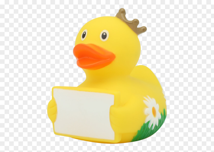 Duck Rubber Aix Bathtub Material PNG