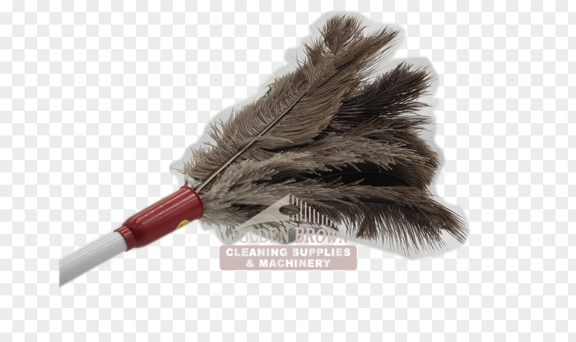 Feather Duster Cleaning Common Ostrich Mop PNG