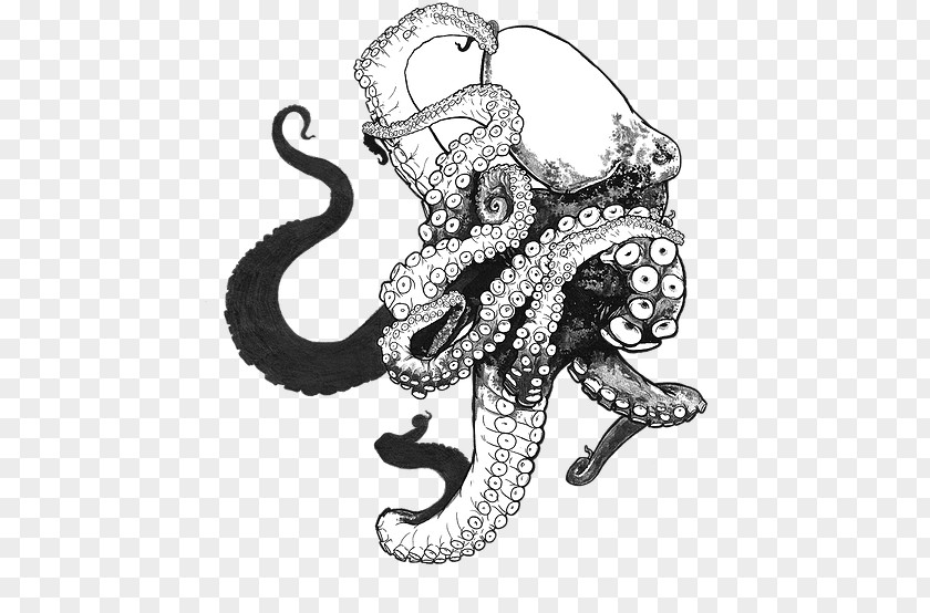 Octopus Drawing Clip Art PNG