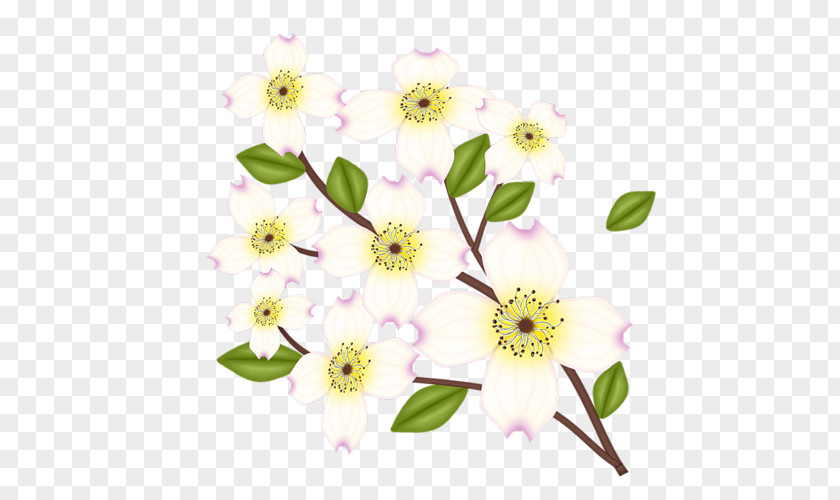 Rose Floral Design Flower PNG