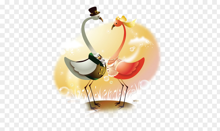 Swan Cartoon Drawing Wallpaper PNG