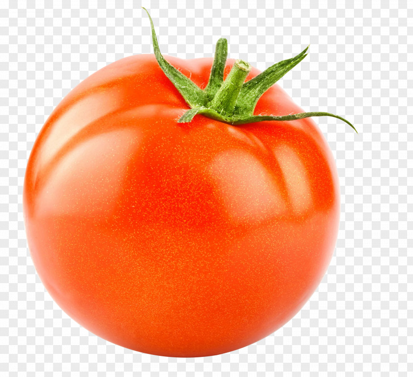 A Tomatoes Plum Tomato Vegetarian Cuisine Bush Fruit PNG