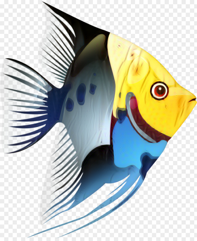 Clip Art Tropical Fish Openclipart PNG