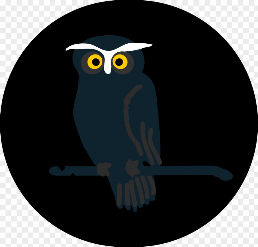 Owl Illustration Little Bird Yellow Clip Art PNG