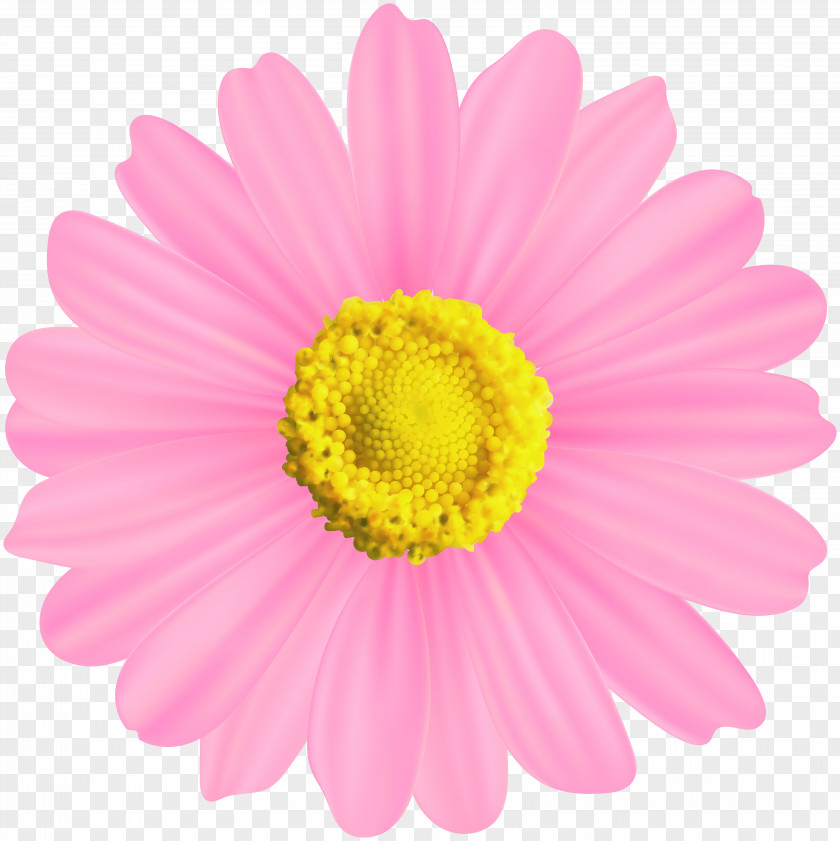 Pink And Gold Flowers Symbol Clip Art PNG