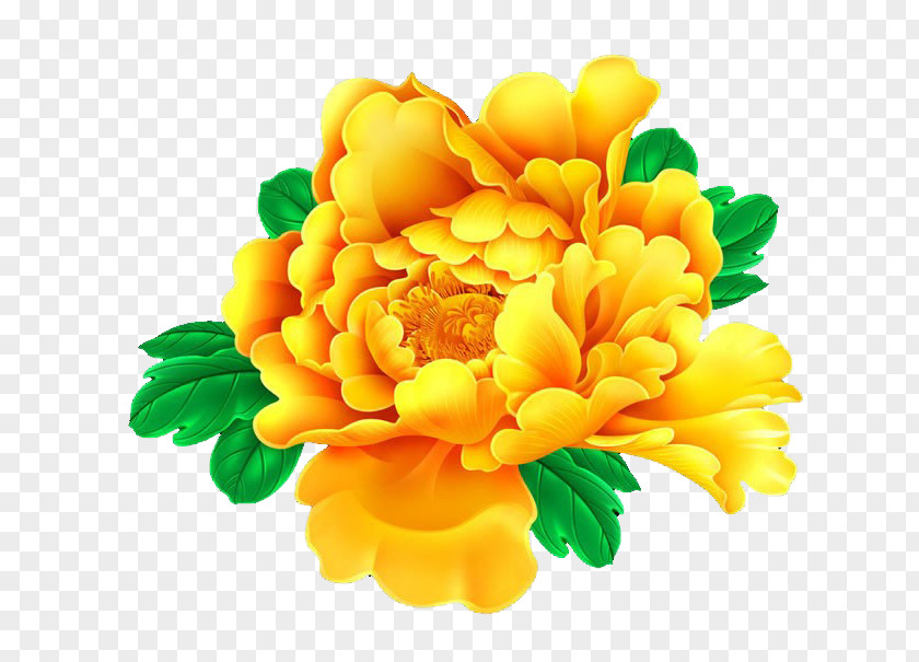 Clip Art Flower Image Design PNG