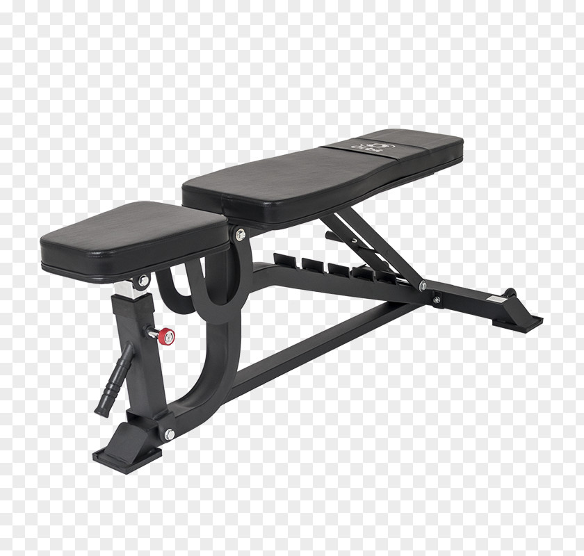 Curved Bench Press Exercise Machine Fitness Centre Gumtree PNG