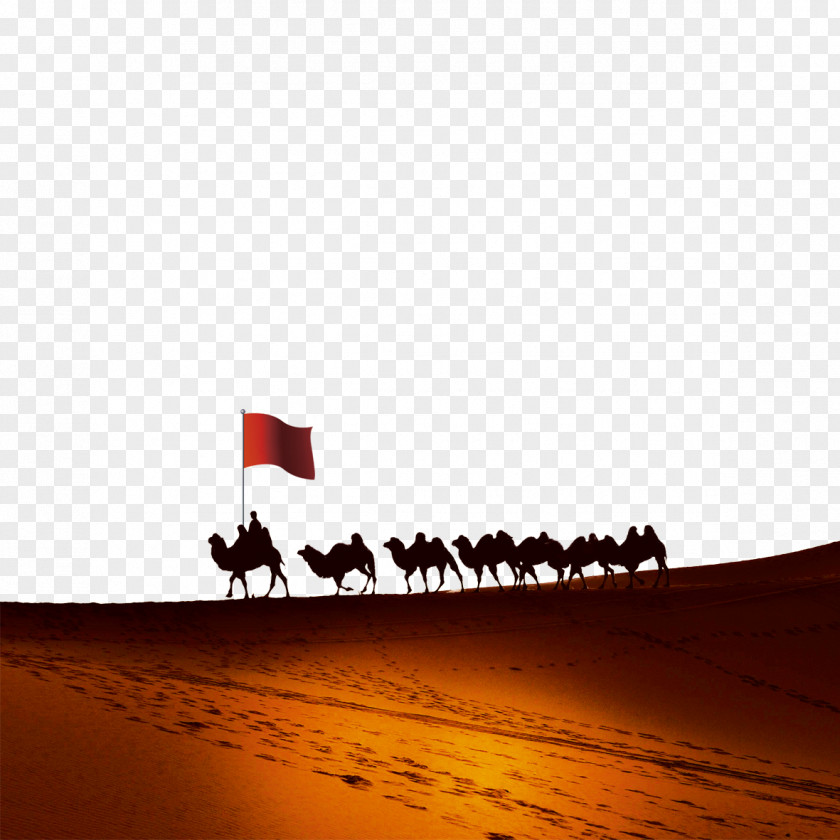 Desert March Sahara Djanet Camel Azjar PNG