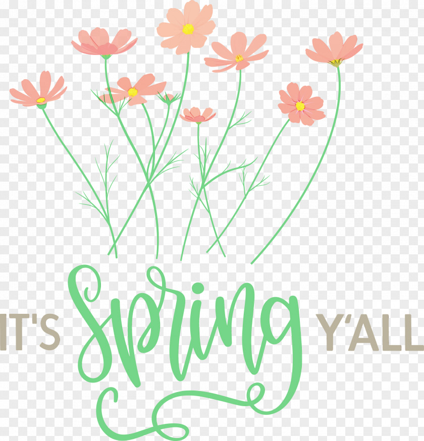 Floral Design PNG