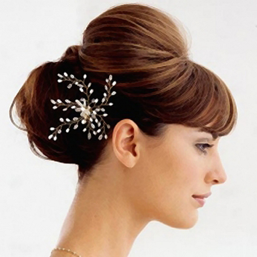 Hairstyle Updo Bun Beauty Parlour PNG