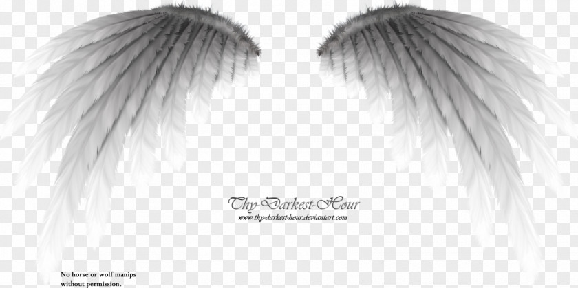 Metallic Wings Black And White Monochrome Photography DeviantArt PNG