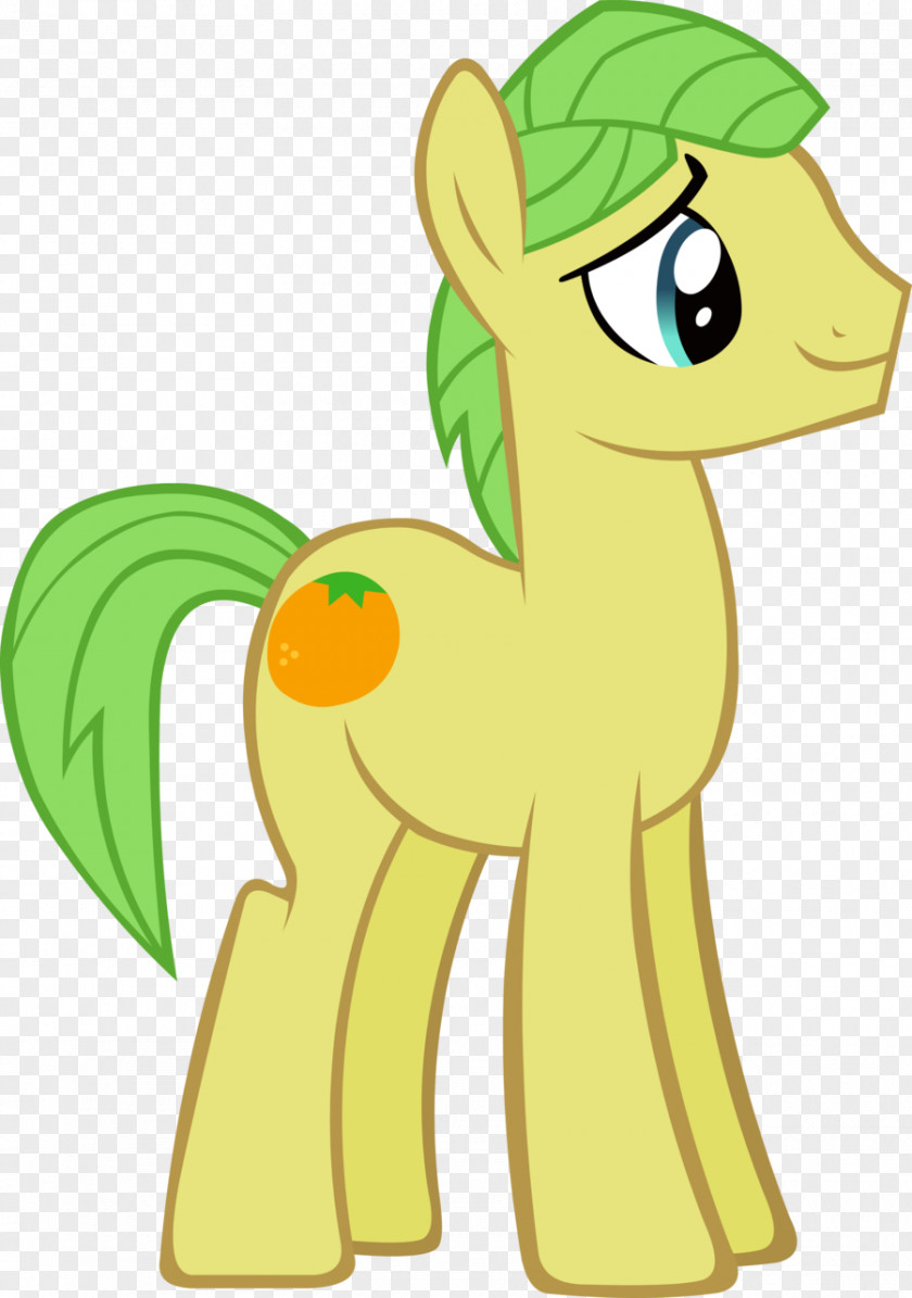 My Little Pony Pinkie Pie Applejack Rainbow Dash Flash Sentry PNG