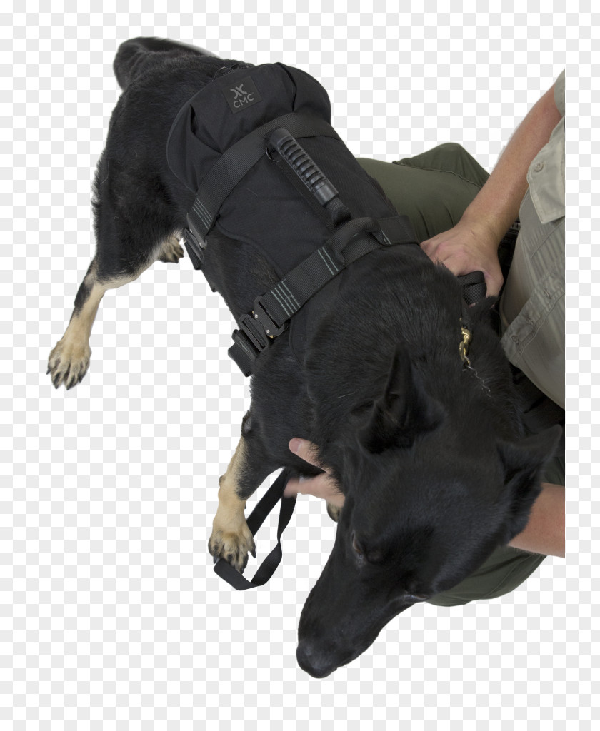 Rescue Dog Harness German Shepherd Search And Abseiling Police PNG