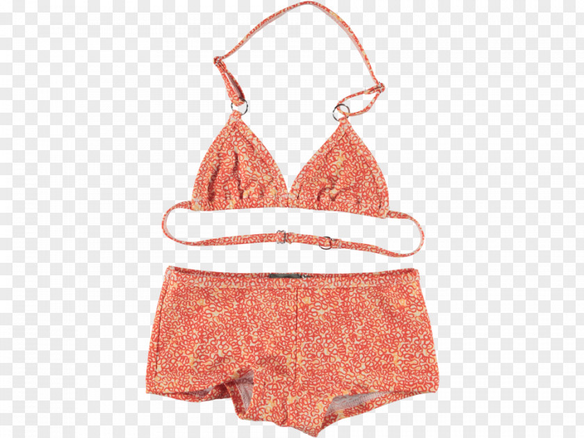 Bikini Swim Briefs T-shirt Swimsuit Clothing PNG briefs Clothing, clipart PNG