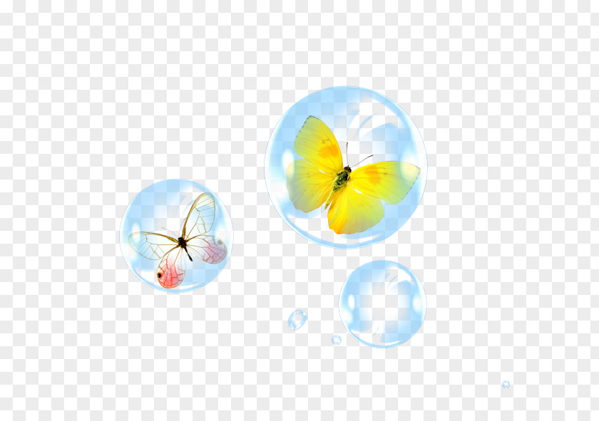 Bubble,butterfly Butterfly Download PNG