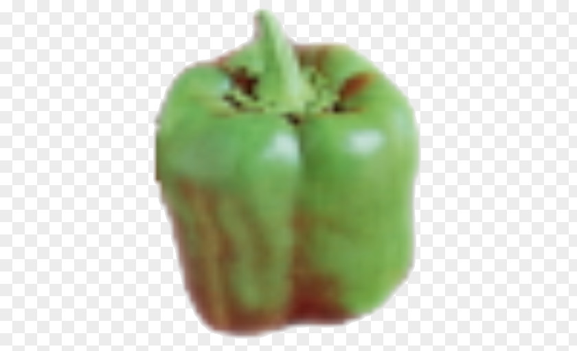 GIMP Brush Bell Pepper Chili Layers PNG
