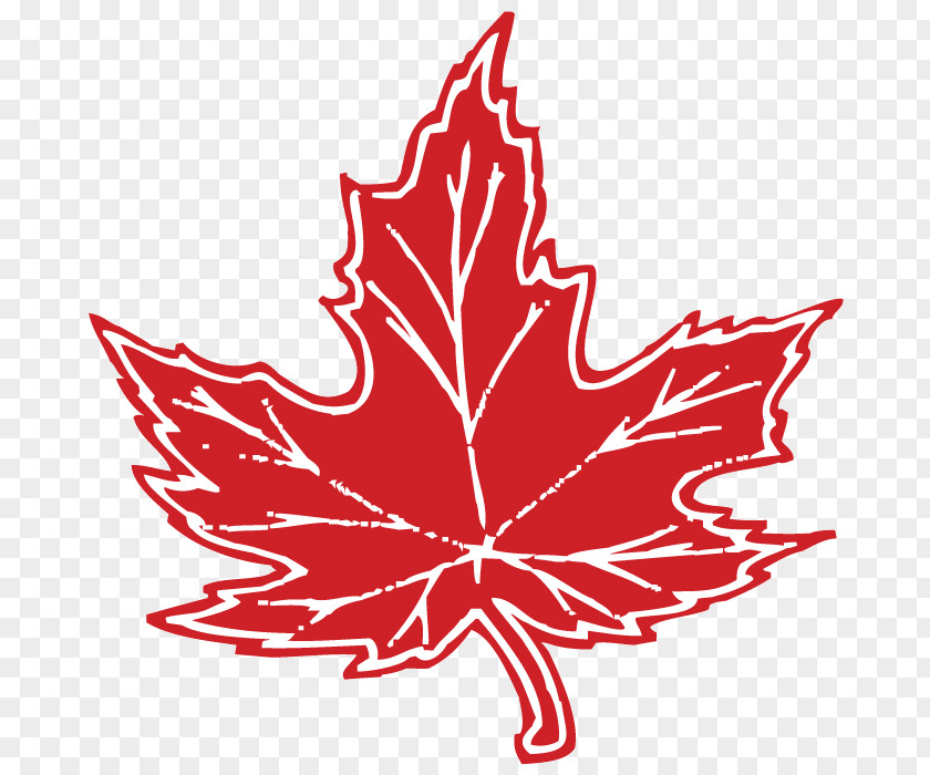 Leaf Maple Red Flag Of Canada Japanese PNG
