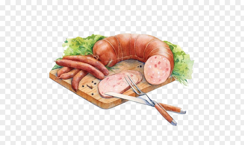 Sausage Hand Painting Material Picture Bratwurst Delicatessen Bacon Frankfurter Wxfcrstchen Ham PNG