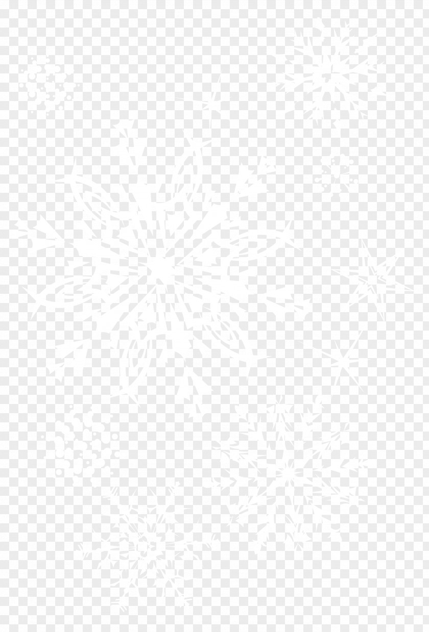 Transparent Snowflakes Picture Line Symmetry Black And White Point Pattern PNG