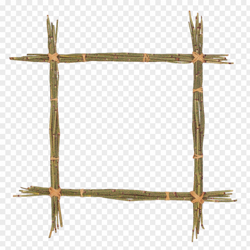 Twig Cross Branch Plant PNG