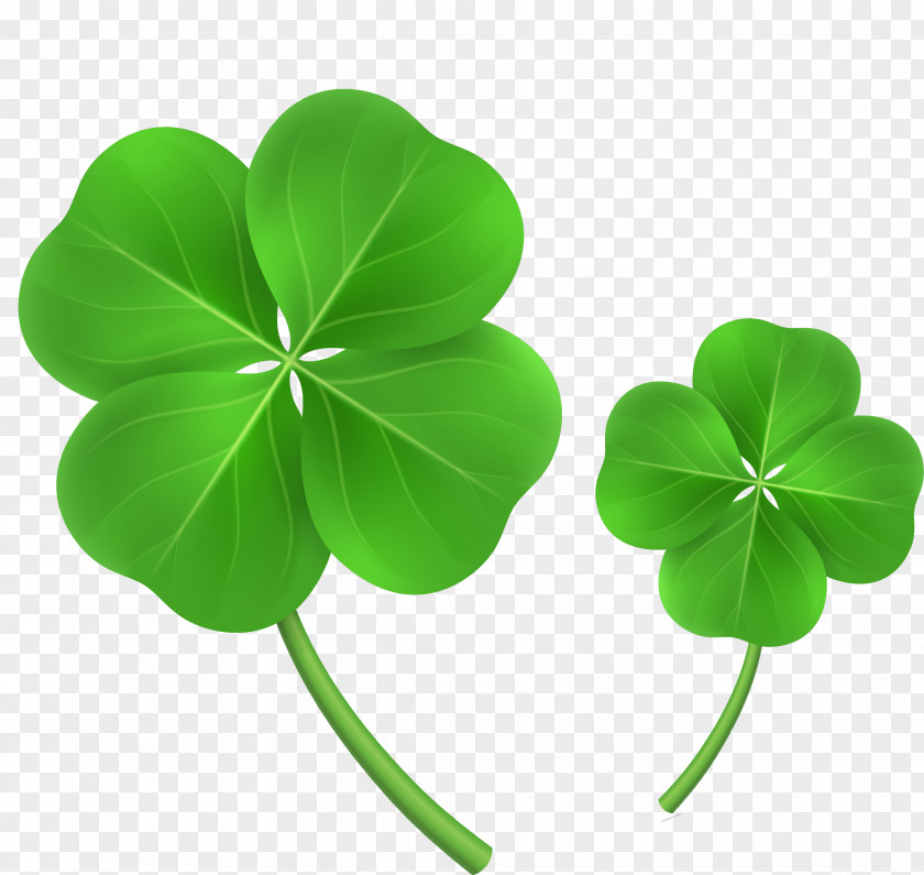 Vector Hand Painted Clover White Four-leaf Shamrock Download PNG
