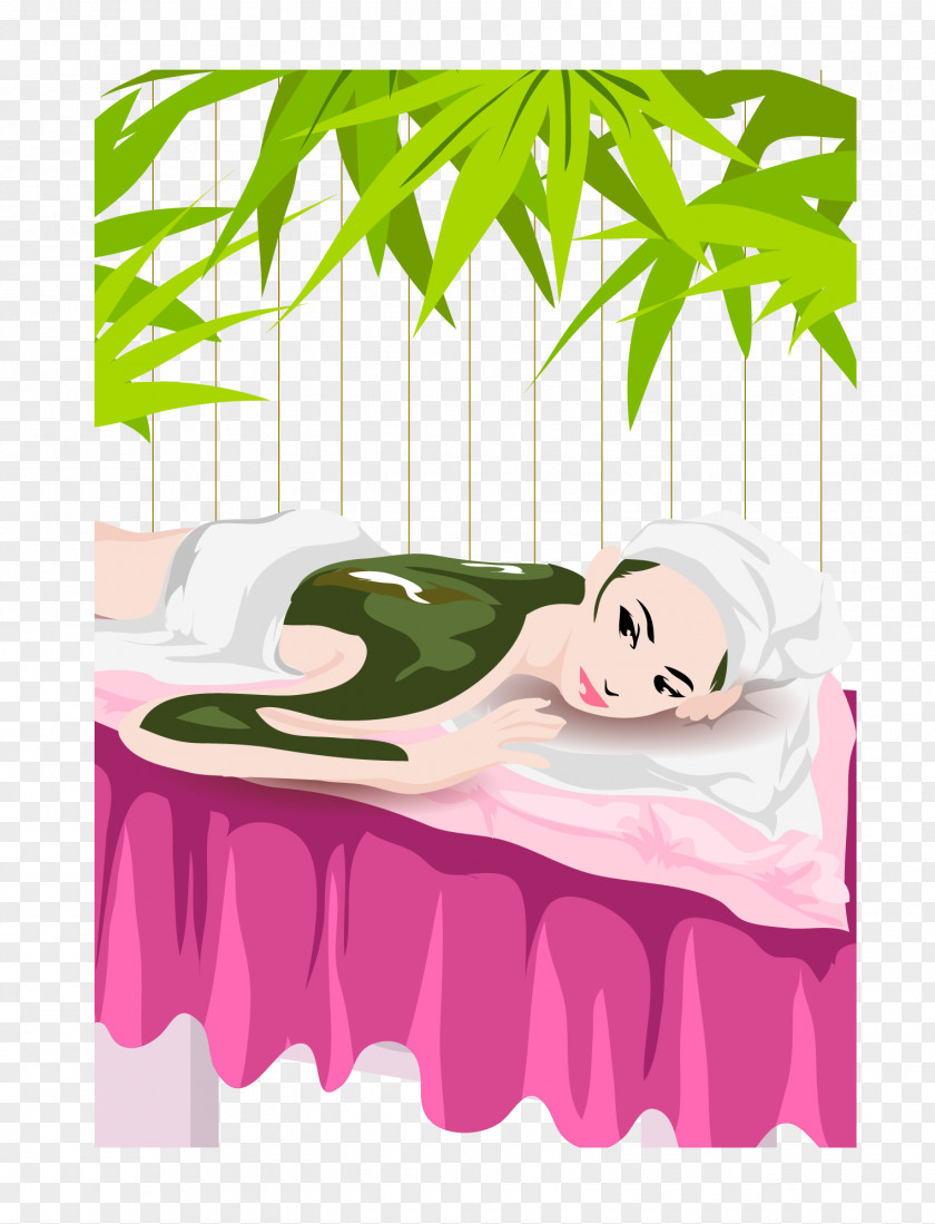 Bamboo Leaf Spa Vector Graphics Cosmetology Image Illustration PNG