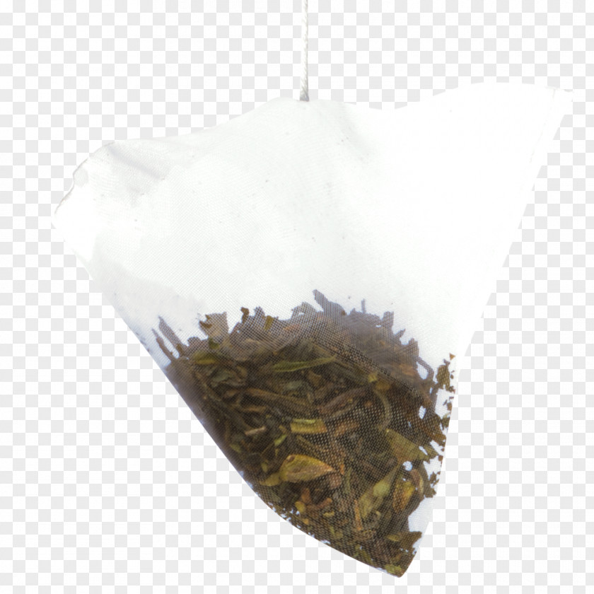 Darjeeling Tea Nilgiri Hōjicha Plant PNG
