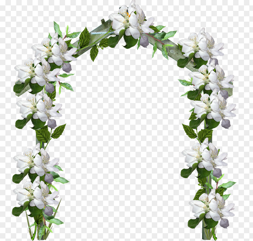 Flower Vine,arch Arch Download Clip Art PNG