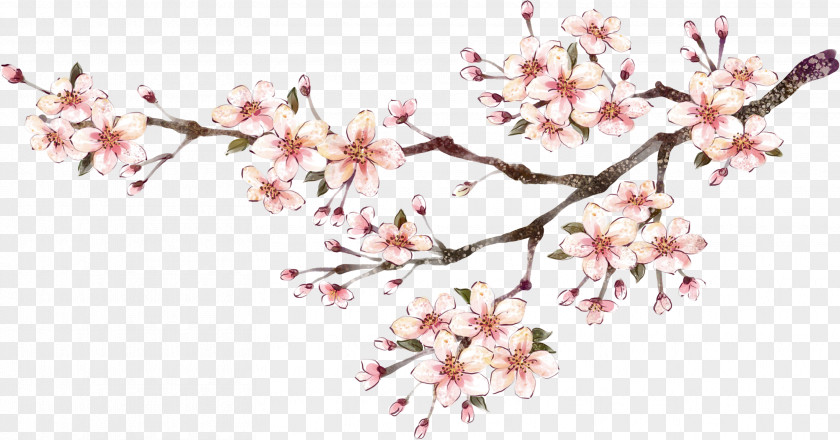 Plum Flower Chinese New Year Poster Painting PNG