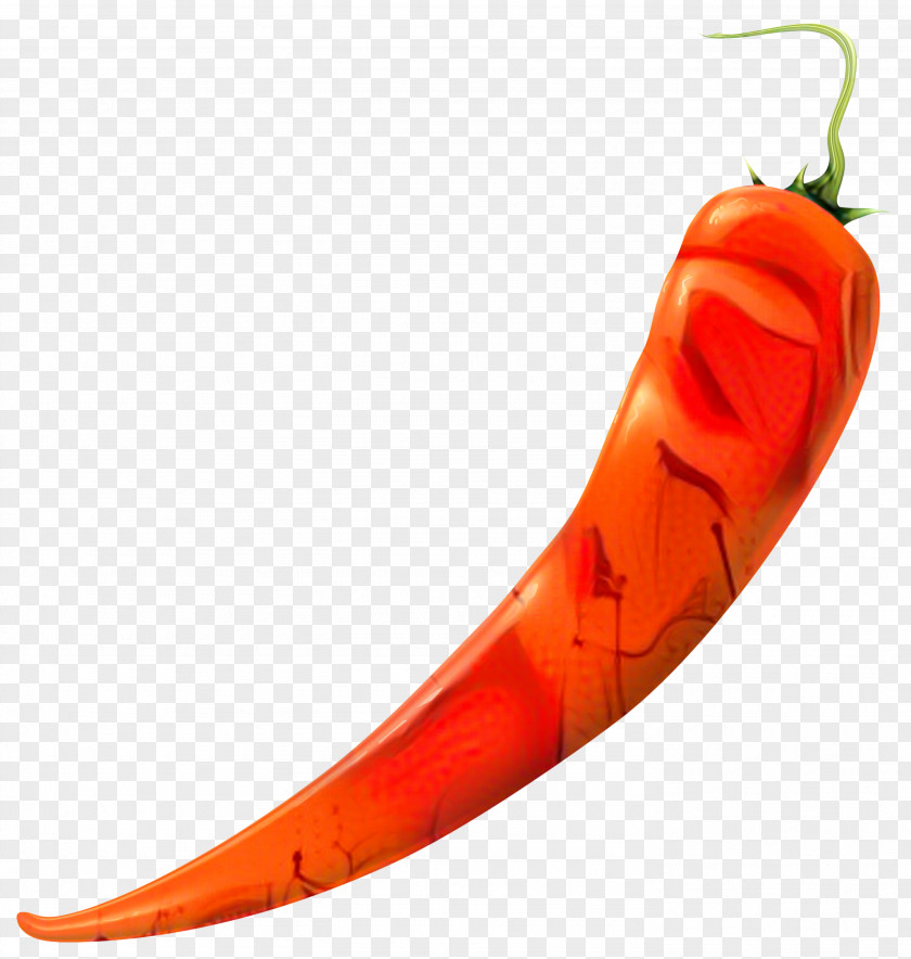 Capsicum Paprika Bird Cartoon PNG