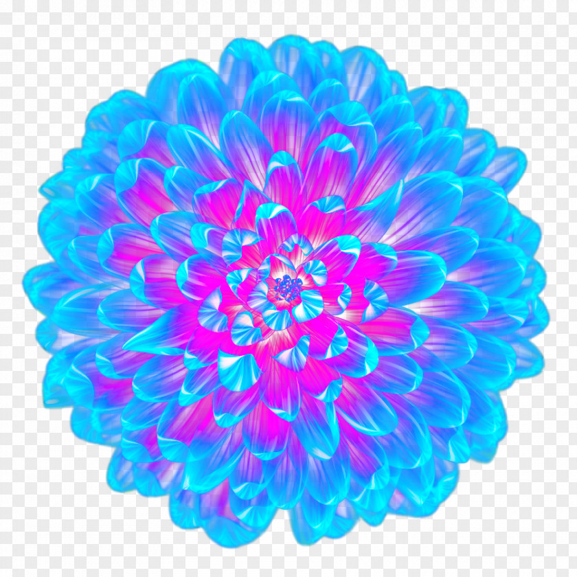 Cool Blue Flower Top View Light PNG