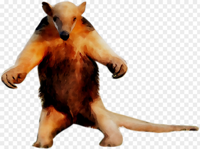 Dog Fur Snout PNG