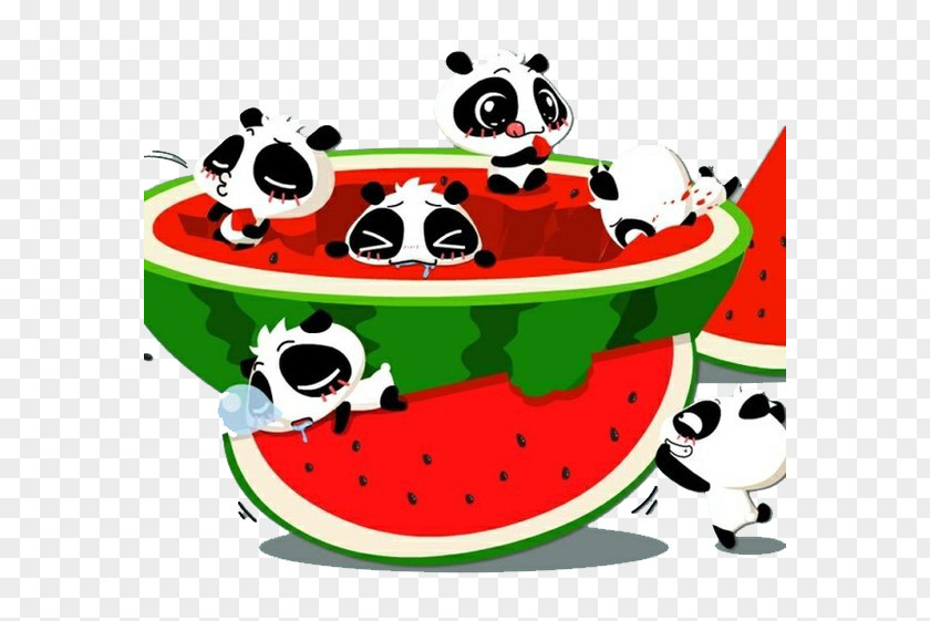 Panda Eat Watermelon Mobile Phone Computer Wallpaper PNG