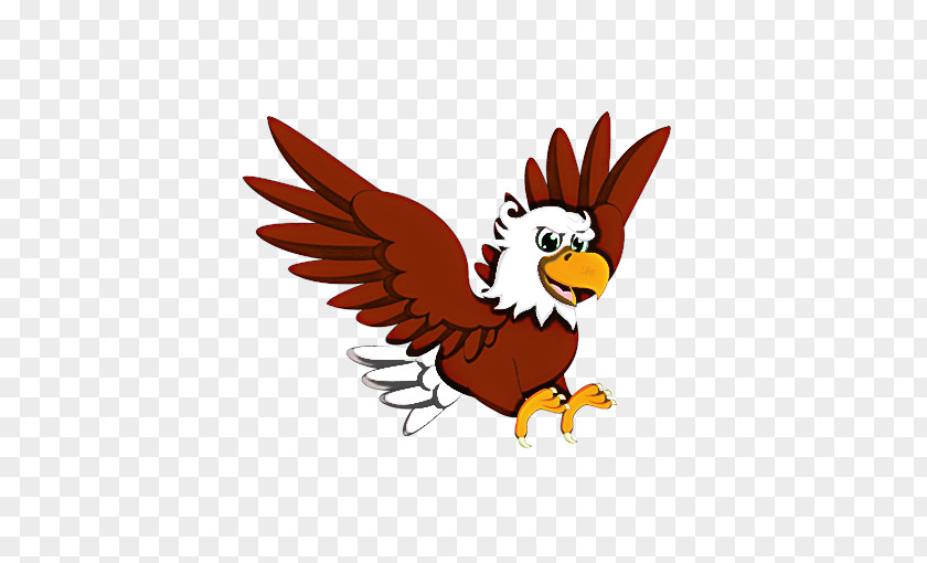 Bird Cartoon Rooster Chicken Wing PNG