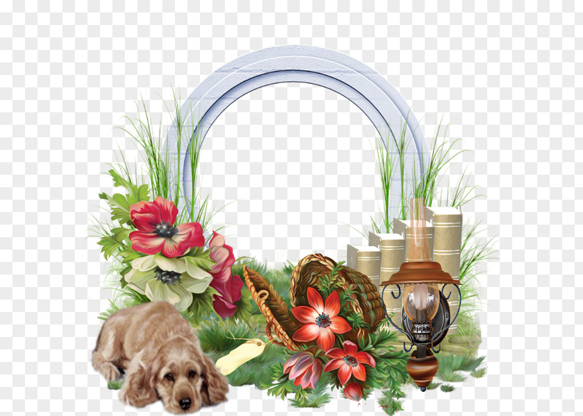 Floral Design Humour Comedy PNG