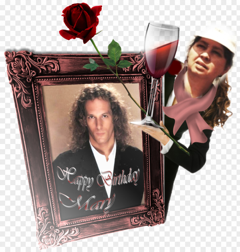 Glass Wine Picture Frames PNG