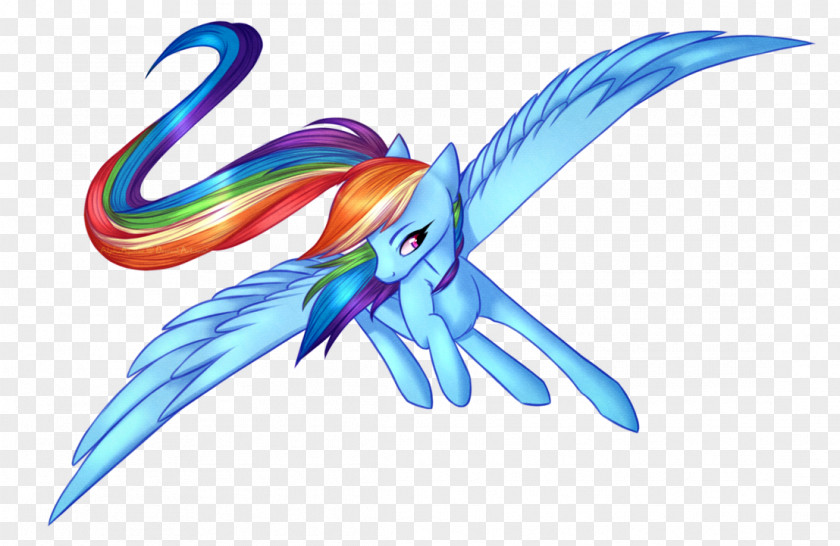 Gliding Wing Rainbow Dash Art Color PNG