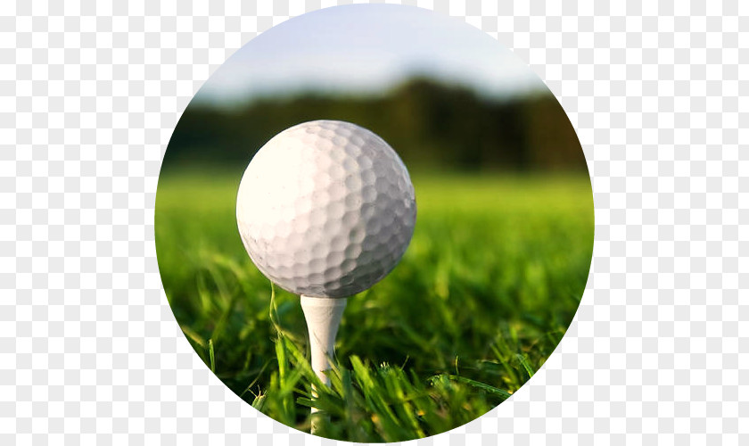 Golf Club Balls Tees Course PNG